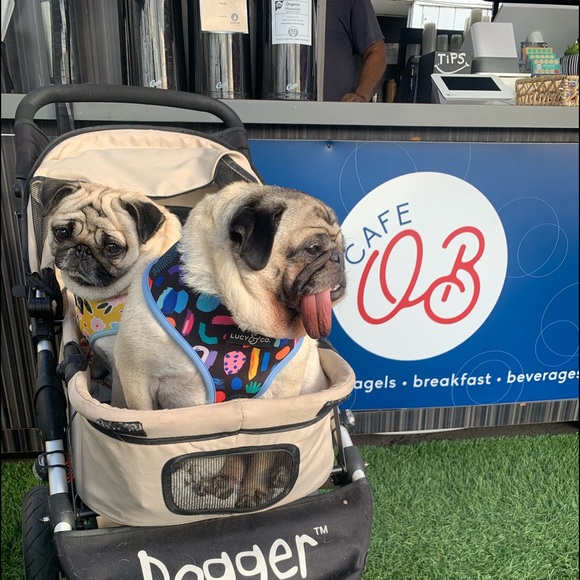 Meet your Posher’s, CHAI & ABIGAIL! - Picture 6 of 12